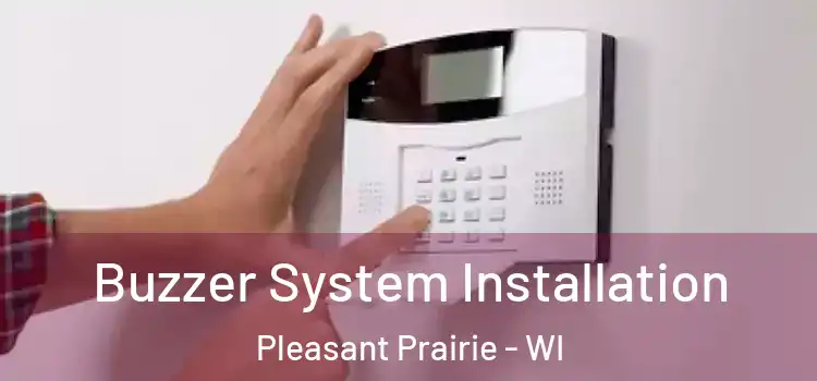  Buzzer System Installation Pleasant Prairie - WI