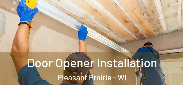  Door Opener Installation Pleasant Prairie - WI