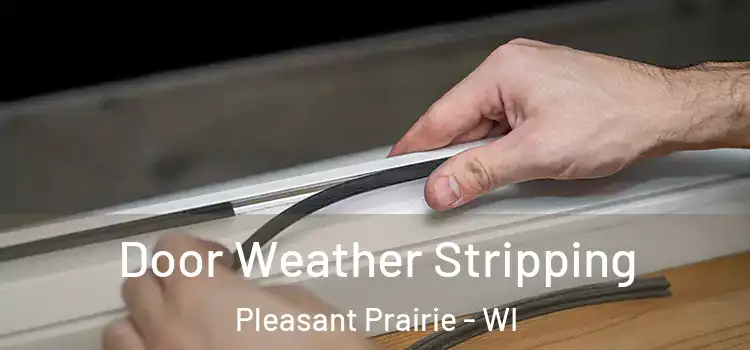  Door Weather Stripping Pleasant Prairie - WI