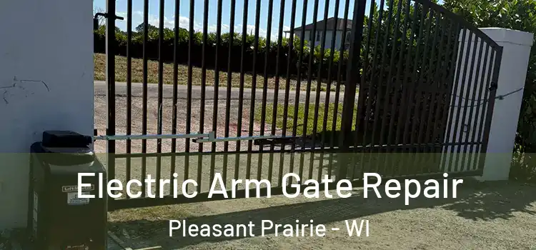  Electric Arm Gate Repair Pleasant Prairie - WI