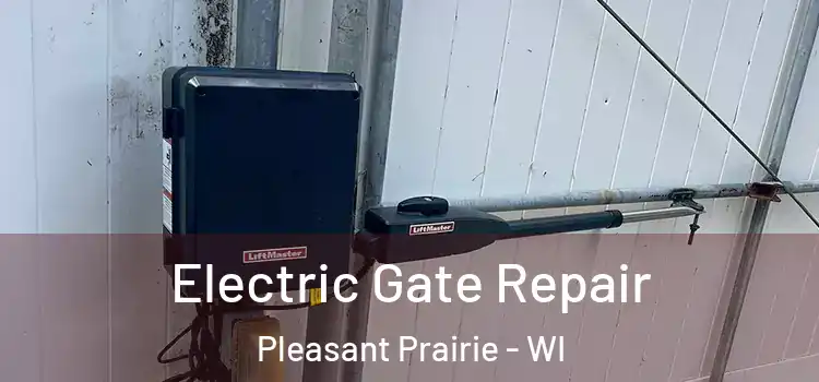  Electric Gate Repair Pleasant Prairie - WI