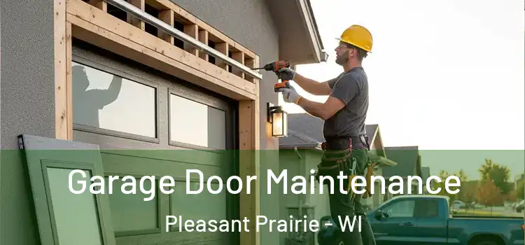  Garage Door Maintenance Pleasant Prairie - WI