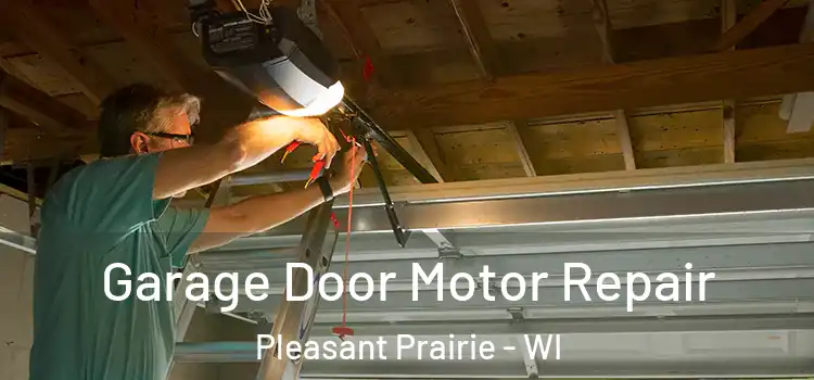  Garage Door Motor Repair Pleasant Prairie - WI