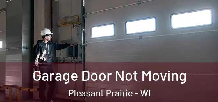  Garage Door Not Moving Pleasant Prairie - WI