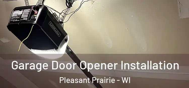  Garage Door Opener Installation Pleasant Prairie - WI