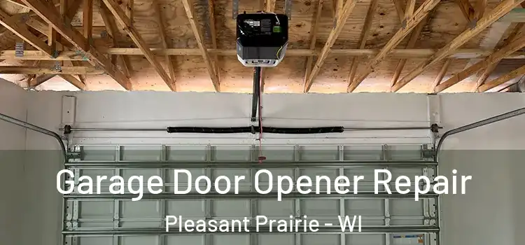  Garage Door Opener Repair Pleasant Prairie - WI