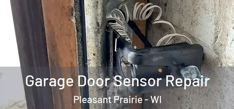  Garage Door Sensor Repair Pleasant Prairie - WI