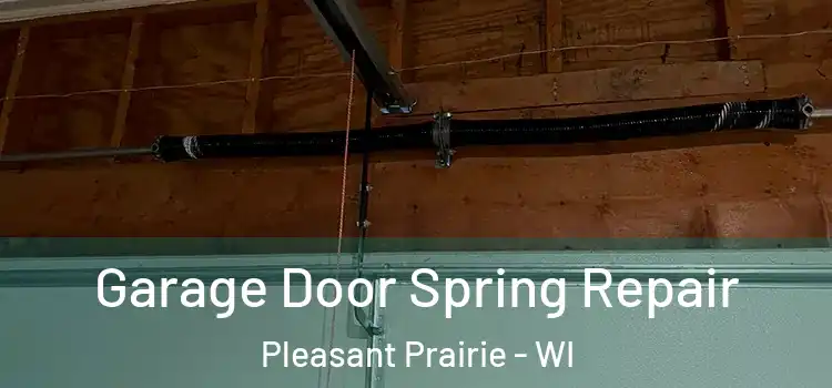  Garage Door Spring Repair Pleasant Prairie - WI