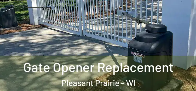  Gate Opener Replacement Pleasant Prairie - WI