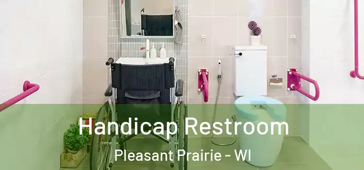  Handicap Restroom Pleasant Prairie - WI