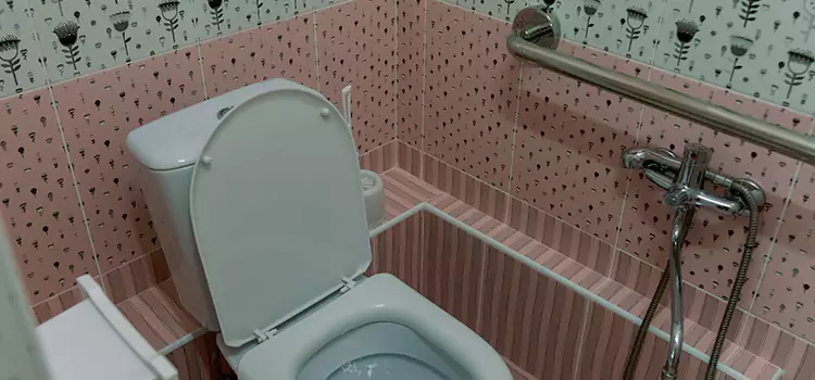 Meeting Diverse Needs With Accessible Restroom Solutions in Pleasant Prairie, WI