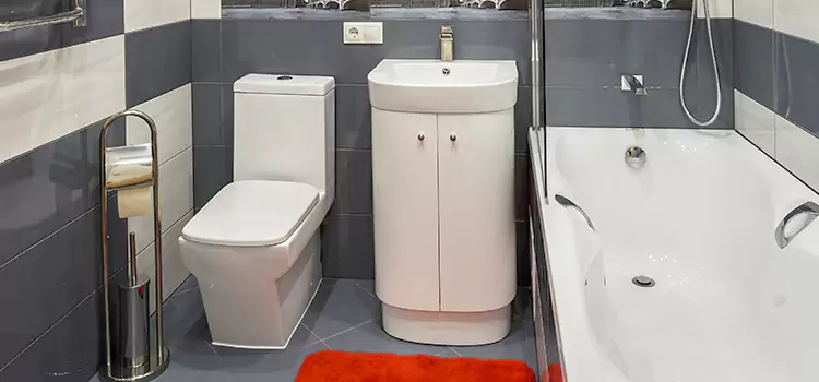 Hansgrohe Shaving Mirror Pleasant Prairie