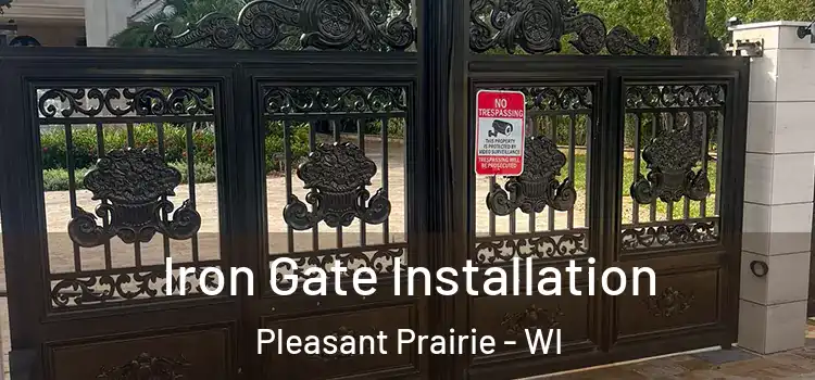  Iron Gate Installation Pleasant Prairie - WI