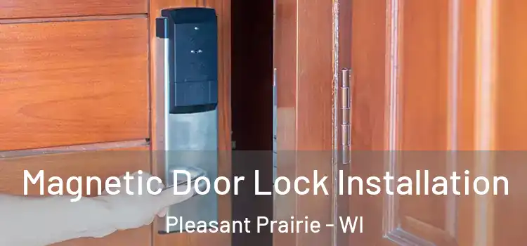  Magnetic Door Lock Installation Pleasant Prairie - WI