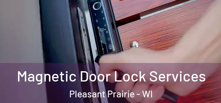  Magnetic Door Lock Services Pleasant Prairie - WI