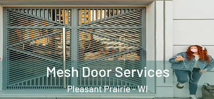  Mesh Door Services Pleasant Prairie - WI
