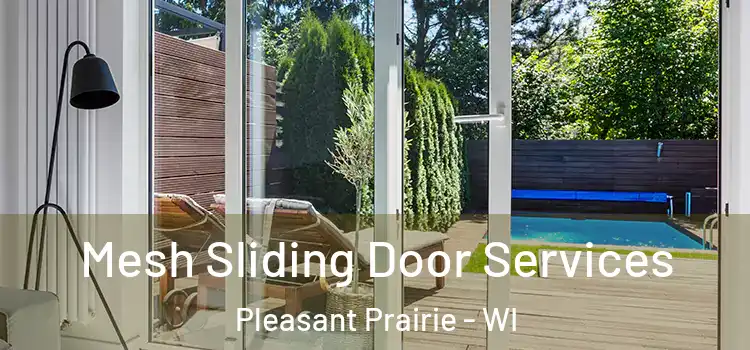  Mesh Sliding Door Services Pleasant Prairie - WI