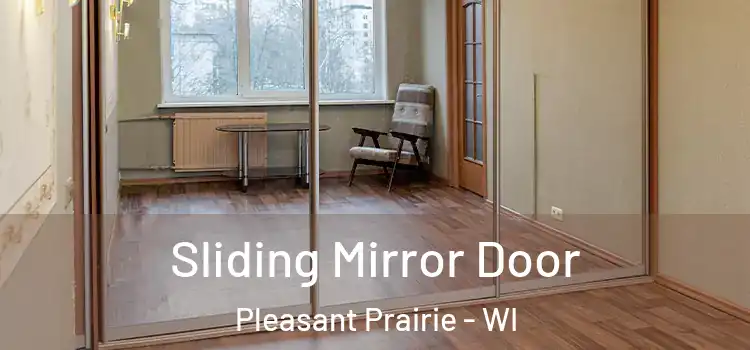  Sliding Mirror Door Pleasant Prairie - WI