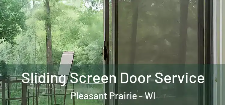  Sliding Screen Door Service Pleasant Prairie - WI
